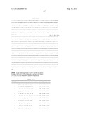 PROBE SET AND METHOD FOR IDENTIFYING HLA ALLELE diagram and image