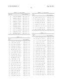 PROBE SET AND METHOD FOR IDENTIFYING HLA ALLELE diagram and image