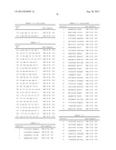 PROBE SET AND METHOD FOR IDENTIFYING HLA ALLELE diagram and image