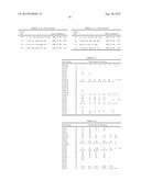 PROBE SET AND METHOD FOR IDENTIFYING HLA ALLELE diagram and image