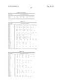 PROBE SET AND METHOD FOR IDENTIFYING HLA ALLELE diagram and image