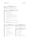 PROBE SET AND METHOD FOR IDENTIFYING HLA ALLELE diagram and image