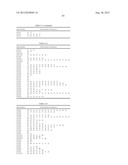 PROBE SET AND METHOD FOR IDENTIFYING HLA ALLELE diagram and image