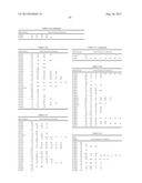 PROBE SET AND METHOD FOR IDENTIFYING HLA ALLELE diagram and image