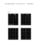 CALIBRATION REAGENT AND USES THEREOF diagram and image