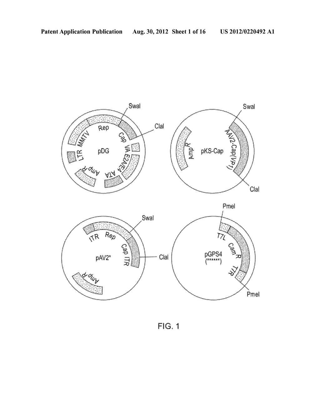 Viral Vectors with Improved Properties - diagram, schematic, and image 02