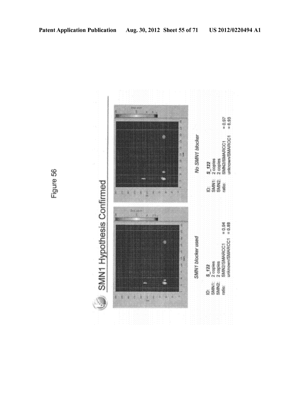 COMPOSITIONS AND METHODS FOR MOLECULAR LABELING - diagram, schematic, and image 56