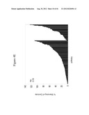 siRNA Targeting Catenin, Beta-1 (CTNNB1) diagram and image