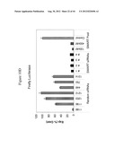 siRNA Targeting Catenin, Beta-1 (CTNNB1) diagram and image