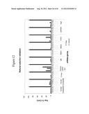 siRNA Targeting Catenin, Beta-1 (CTNNB1) diagram and image