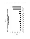 siRNA Targeting Catenin, Beta-1 (CTNNB1) diagram and image