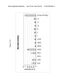 siRNA Targeting Catenin, Beta-1 (CTNNB1) diagram and image