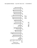 siRNA Targeting Catenin, Beta-1 (CTNNB1) diagram and image