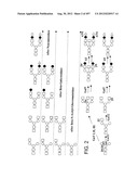 Glycopegylation Methods and Proteins/Peptides Produced by the Methods diagram and image