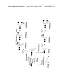 Glycopegylation Methods and Proteins/Peptides Produced by the Methods diagram and image