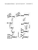 Glycopegylation Methods and Proteins/Peptides Produced by the Methods diagram and image