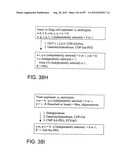 Glycopegylation Methods and Proteins/Peptides Produced by the Methods diagram and image