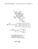 Glycopegylation Methods and Proteins/Peptides Produced by the Methods diagram and image