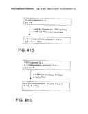 Glycopegylation Methods and Proteins/Peptides Produced by the Methods diagram and image