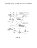 Glycopegylation Methods and Proteins/Peptides Produced by the Methods diagram and image