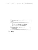 Glycopegylation Methods and Proteins/Peptides Produced by the Methods diagram and image