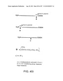 Glycopegylation Methods and Proteins/Peptides Produced by the Methods diagram and image