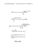 Glycopegylation Methods and Proteins/Peptides Produced by the Methods diagram and image