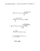 Glycopegylation Methods and Proteins/Peptides Produced by the Methods diagram and image