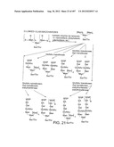 Glycopegylation Methods and Proteins/Peptides Produced by the Methods diagram and image