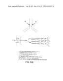 Glycopegylation Methods and Proteins/Peptides Produced by the Methods diagram and image