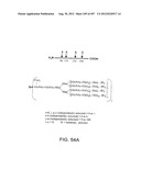 Glycopegylation Methods and Proteins/Peptides Produced by the Methods diagram and image