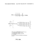 Glycopegylation Methods and Proteins/Peptides Produced by the Methods diagram and image