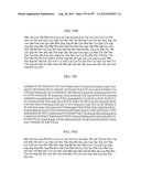 Glycopegylation Methods and Proteins/Peptides Produced by the Methods diagram and image