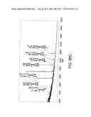 Glycopegylation Methods and Proteins/Peptides Produced by the Methods diagram and image