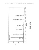 Glycopegylation Methods and Proteins/Peptides Produced by the Methods diagram and image