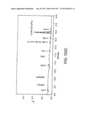 Glycopegylation Methods and Proteins/Peptides Produced by the Methods diagram and image