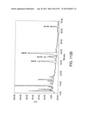 Glycopegylation Methods and Proteins/Peptides Produced by the Methods diagram and image