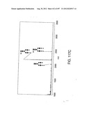 Glycopegylation Methods and Proteins/Peptides Produced by the Methods diagram and image