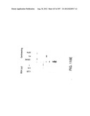 Glycopegylation Methods and Proteins/Peptides Produced by the Methods diagram and image