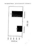 Glycopegylation Methods and Proteins/Peptides Produced by the Methods diagram and image