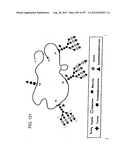 Glycopegylation Methods and Proteins/Peptides Produced by the Methods diagram and image