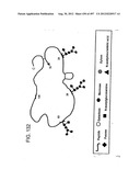 Glycopegylation Methods and Proteins/Peptides Produced by the Methods diagram and image