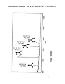 Glycopegylation Methods and Proteins/Peptides Produced by the Methods diagram and image