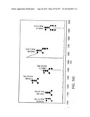 Glycopegylation Methods and Proteins/Peptides Produced by the Methods diagram and image