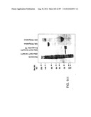 Glycopegylation Methods and Proteins/Peptides Produced by the Methods diagram and image