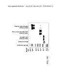 Glycopegylation Methods and Proteins/Peptides Produced by the Methods diagram and image