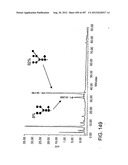 Glycopegylation Methods and Proteins/Peptides Produced by the Methods diagram and image