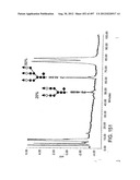 Glycopegylation Methods and Proteins/Peptides Produced by the Methods diagram and image