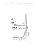 Glycopegylation Methods and Proteins/Peptides Produced by the Methods diagram and image