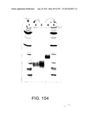 Glycopegylation Methods and Proteins/Peptides Produced by the Methods diagram and image